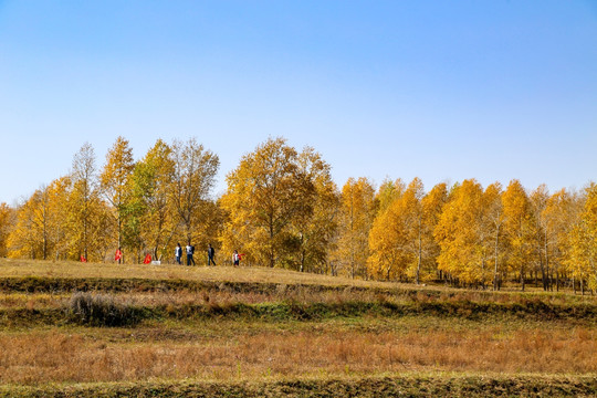 張家口草原天路