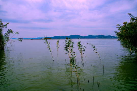 太湖风光