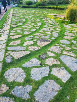 草地 小路