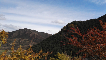 古雅秋景