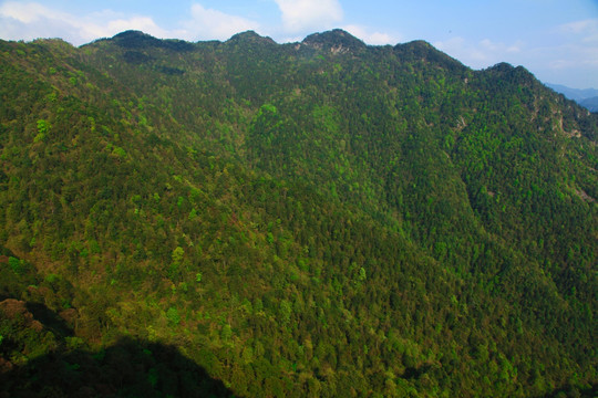 杜鹃山风光