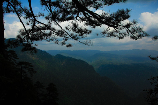 杜鹃山风光