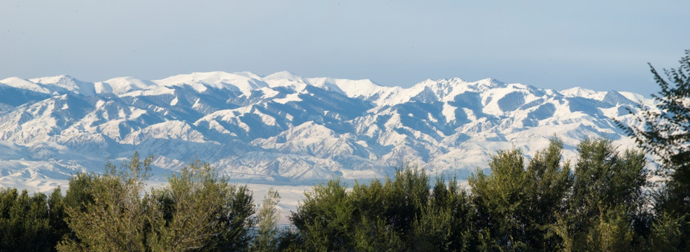 山雪