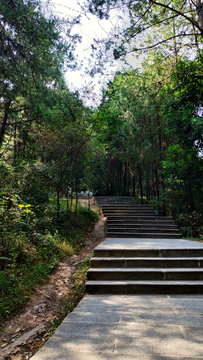 登山路