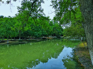 苏州白塘湖植物园