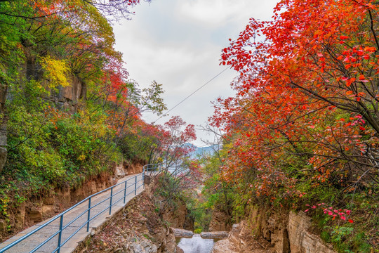 淄博潭溪山秋天风景