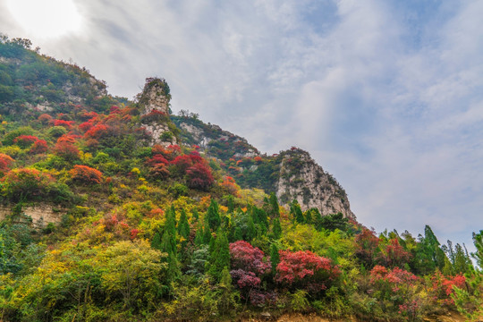 淄博潭溪山秋景