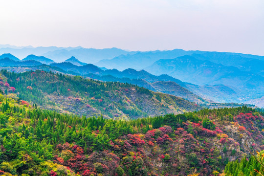 淄博潭溪山秋景