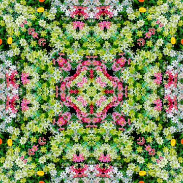 對(duì)稱無(wú)縫鮮花拼花圖案