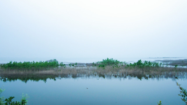 湖水湿地