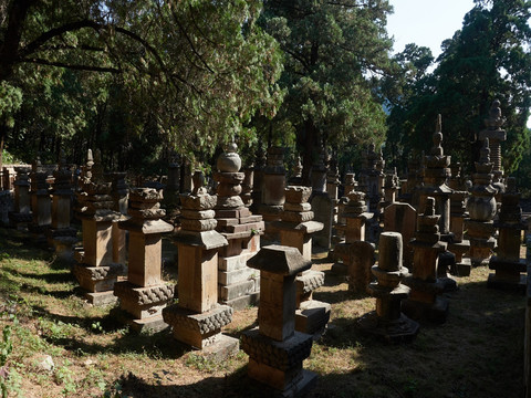 灵岩寺风景区塔林