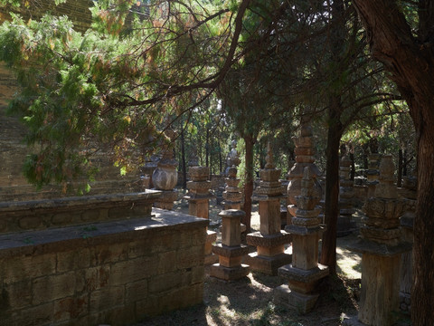 灵岩寺风景区塔林