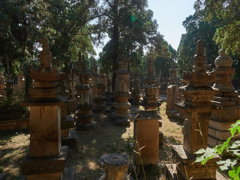 灵岩寺风景区塔林