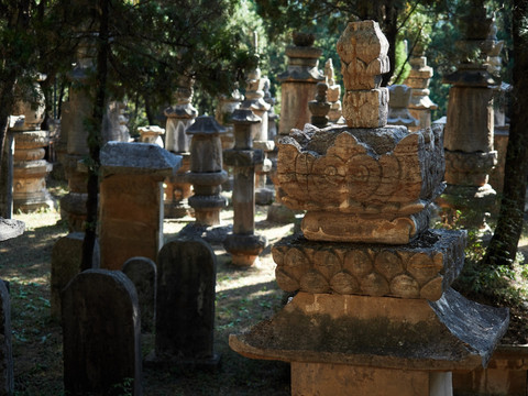 灵岩寺风景区塔林