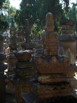 灵岩寺风景区塔林