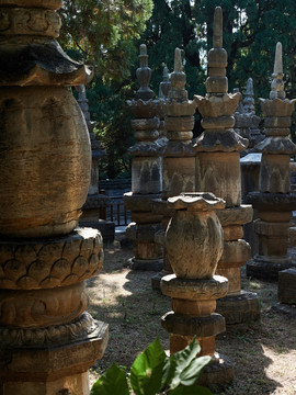 灵岩寺风景区塔林