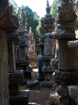 灵岩寺风景区塔林