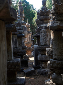 灵岩寺风景区塔林