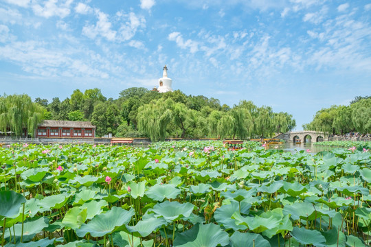 夏日北海公园