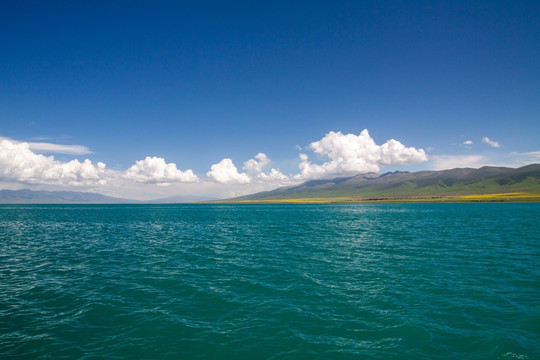 青海湖风光