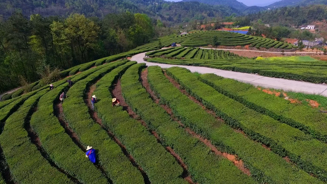 茶山航拍