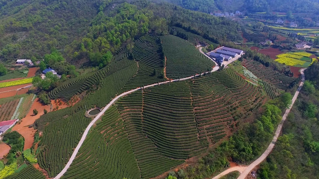 茶山航拍