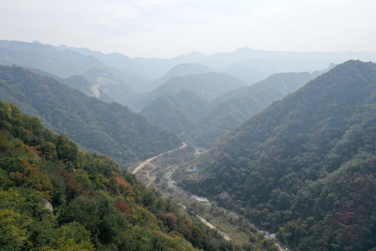 大山里的红叶