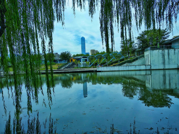 湖畔绿柳风景