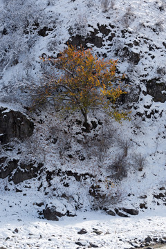 雪山