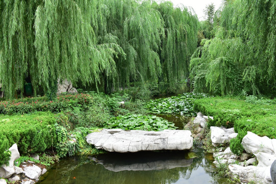 中式庭院小池塘