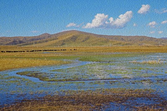 高原风景