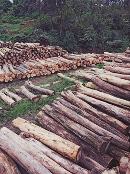 木材市场