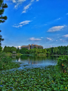 苏州翡翠湖生态公园