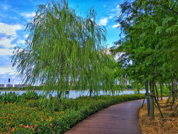 湖畔栈道风景