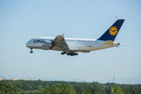 国际航空飞机