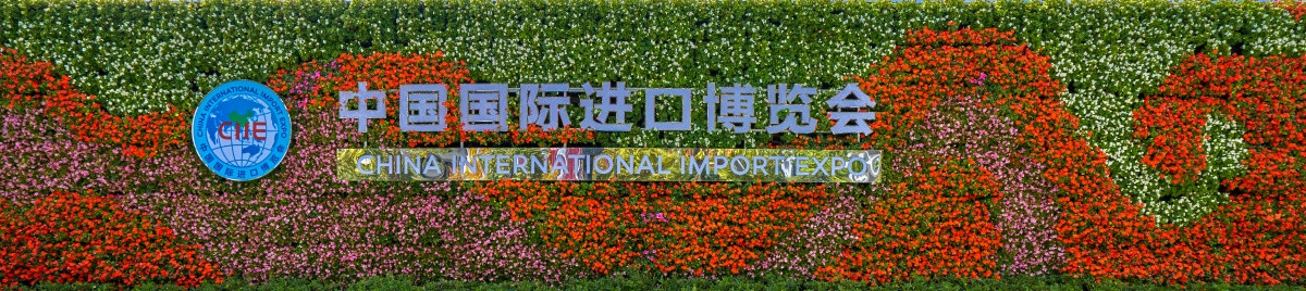 中国国际进口博览会植物墙