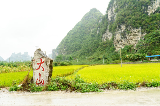 广西南宁市上林田野风光