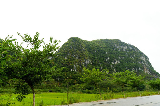 广西南宁市上林田野风光