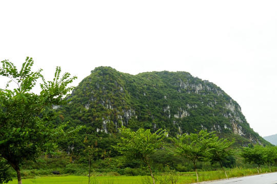 广西南宁市上林田野风光