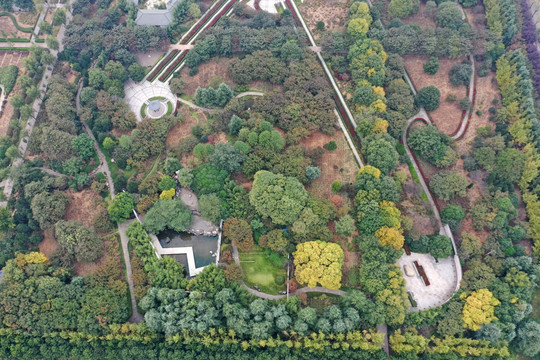 洛阳隋唐遗址植物园