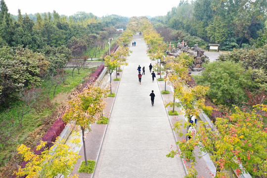 洛阳隋唐遗址植物园