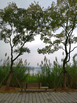 武汉东湖绿道风光