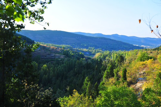 山野山林