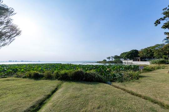 昆山巴城生态湿地公园