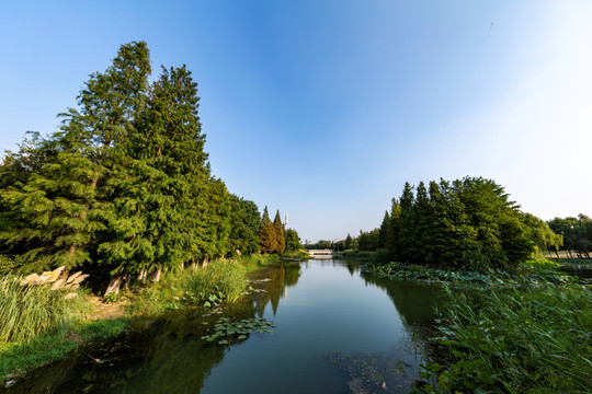 昆山巴城生态湿地公园