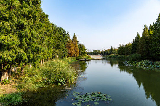 昆山巴城生态湿地公园