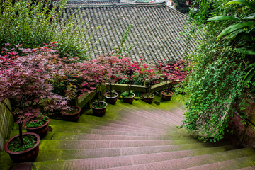 峨眉山景区