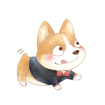 禮服柯基