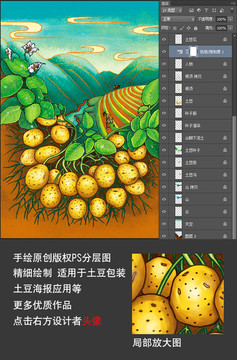 恩施高山小土豆原创插画