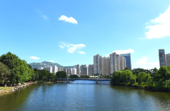 乐清市中心公园桥梁